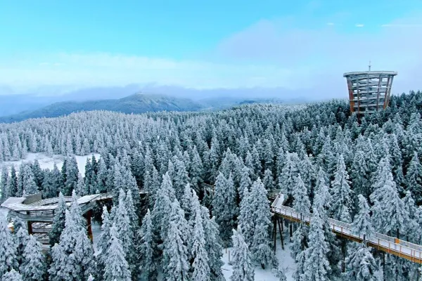 仙女山 - 重庆旅游景区