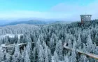 仙女山国家森林公园 - 重庆旅游景区