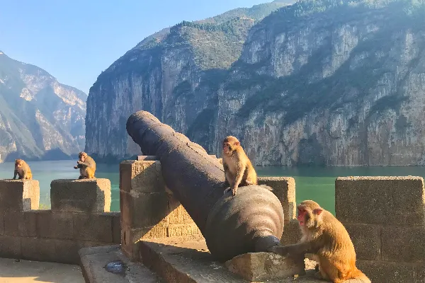 Baidi City - Chongqing Tourist Attraction
