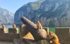 白帝城 - 重庆旅游景区