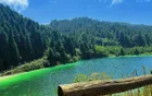 Wuling Mountain National Forest Park - Chongqing Tourist Attraction