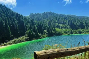 武陵山國家森林公園 - 重慶旅遊景區