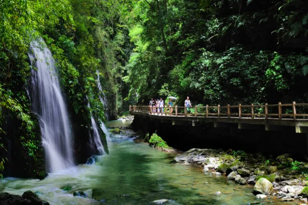 萬盛黑山谷 - 重慶旅遊景區