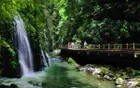 万盛黑山谷 - 重庆旅游景区