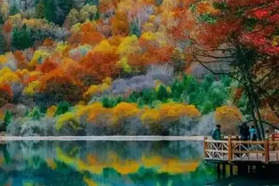 九寨溝 - 四川旅遊景區