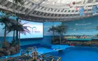 Chengdu Polar Ocean Park - Sichuan Tourist Attraction