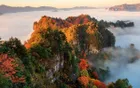 光雾山 - 四川旅游景区