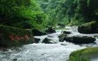 碧峰峡 - 四川旅游景区