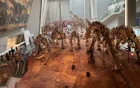 Zigong Dinosaur Museum - Sichuan Tourist Attraction