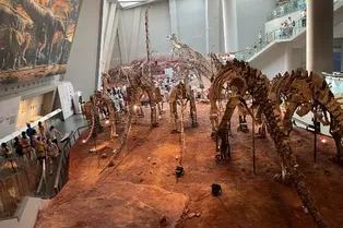 Zigong Dinosaur Museum - Sichuan Tourist Attraction