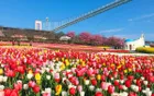 Manhua Manor - Sichuan Tourist Attraction