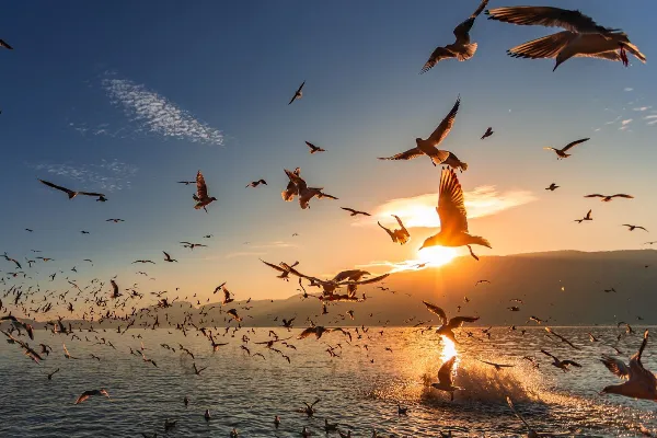 Dianchi Lake - Yunnan Tourist Attraction