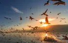 Dianchi Lake - Yunnan Tourist Attraction