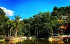 Xishuangbanna Primeval Forest Park - Yunnan Tourist Attraction