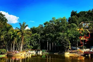 Xishuangbanna Primeval Forest Park - Yunnan Tourist Attraction