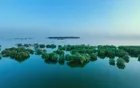 Dongting Lake - Hunan Tourist Attraction