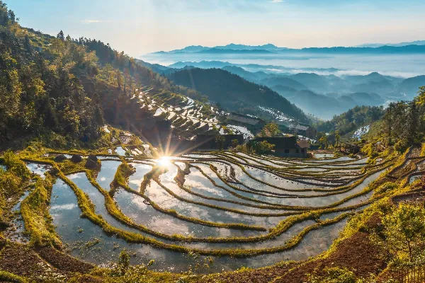 紫鵲界梯田 - 湖南旅遊景區