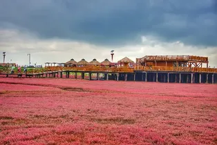 Honghaitan (Red Beach) Scenic Corridor