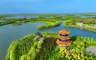 大安嫩江湾 - 吉林旅游景区