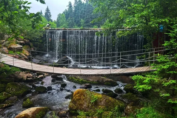 汤旺河林海奇石景区 - 黑龙江旅游景区