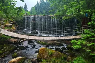 湯旺河林海奇石景區 - 黑龍江旅遊景區