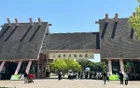 上海野生动物园 - 上海旅游景区