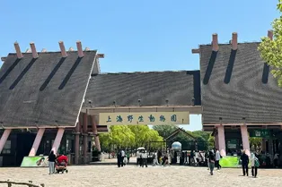 Shanghai Wild Animal Park - Shanghai Tourist Attraction