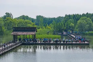 溱湖旅遊景區 - 江蘇旅遊景區