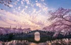 太湖鼋头渚风景区 - 江苏旅游景区