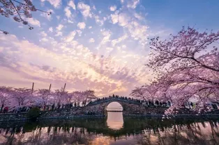 Taihu Yuantouzhu Scenic Area - Jiangsu Tourist Attraction