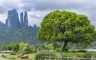 江郎山·廿八都旅游区 - 浙江旅游景区