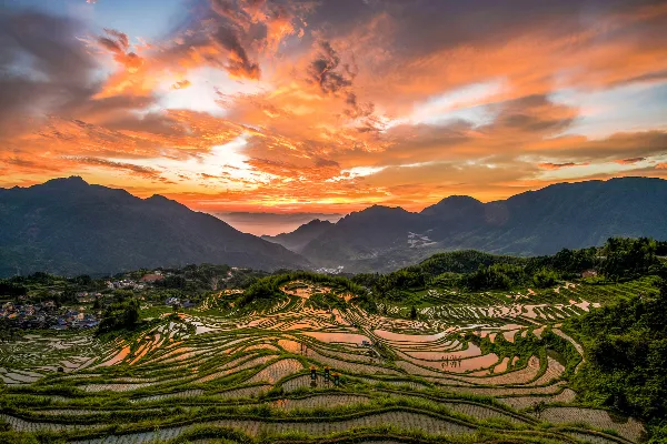 雲和梯田景區 - 浙江旅遊景區