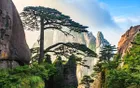 黄山风景名胜区 - 安徽旅游景区