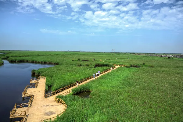 Yellow River Estuary Ecological Tourism Area in Dongying - Shandong Tourist Attraction
