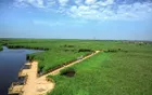 东营市黄河口生态旅游区 - 山东旅游景区