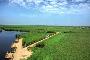东营市黄河口生态旅游区 - 山东旅游景区