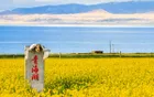 青海湖风景区 - 青海旅游景区