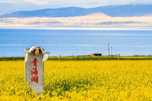 Qinghai Lake Scenic Area