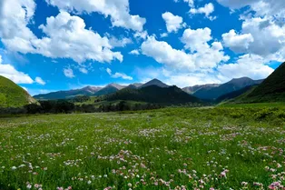Ami Dongsuo Scenic Area - Qinghai Tourist Attraction