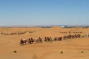 中卫市沙坡头旅游景区 - 宁夏旅游景区