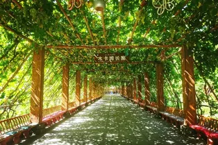 Turpan Grape Valley Scenic Area - Xinjiang Tourist Attraction