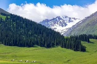 Nalati Tourist Scenic Area - Xinjiang Tourist Attraction