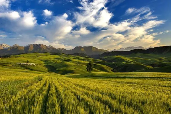 Jiangbulak Scenic Area - Xinjiang Tourist Attraction