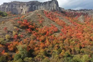 Zhonghua Fushoushan Scenic Area