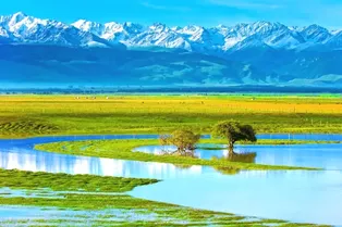 Zhaosu Wetland Park - Xinjiang Tourist Attraction