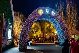 Liuxing Street Scenic Area - Xinjiang Tourist Attraction
