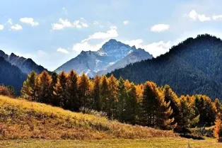 Wusu Foshan National Forest Park