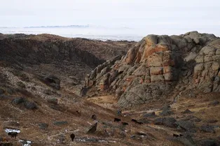 Grassland Stone City Scenic Area - Xinjiang Tourist Attraction