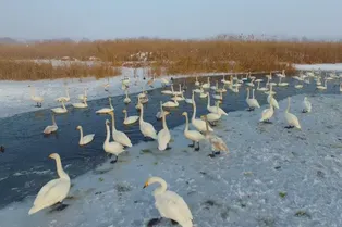 Yanfeitai Scenic Area of Manas National Wetland Park - Xinjiang Tourist Attraction