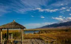 Barikun Gaojiahu Wetland Scenic Area - Xinjiang Tourist Attraction